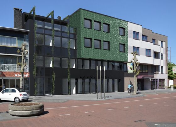 Maasmechelen Pauwengraaf - Tegels