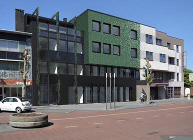 Maasmechelen Pauwengraaf - Tegels - 0