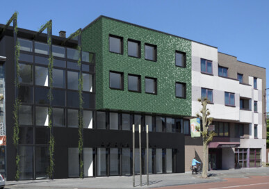 Project Maasmechelen Pauwegraaf - 0