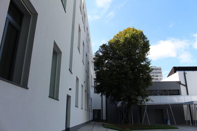 Brussel project Frontespice - 13